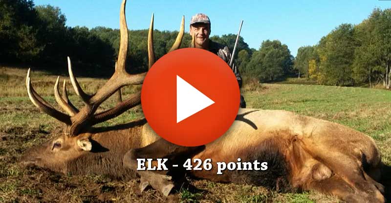 Elk hunted by JJ